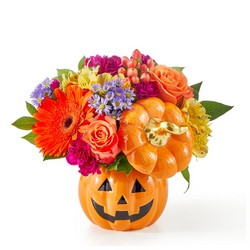 Tricks & Treats Pumpkin In Waterford Michigan Jacobsen's Flowers